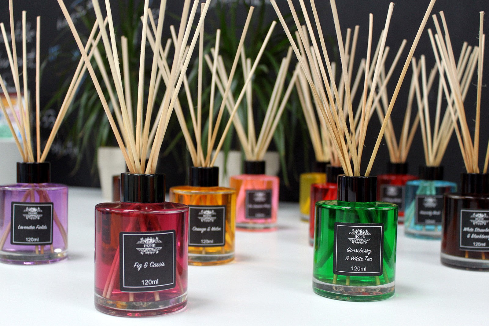 120ml Reed Diffuser -  Vanilla Plantation