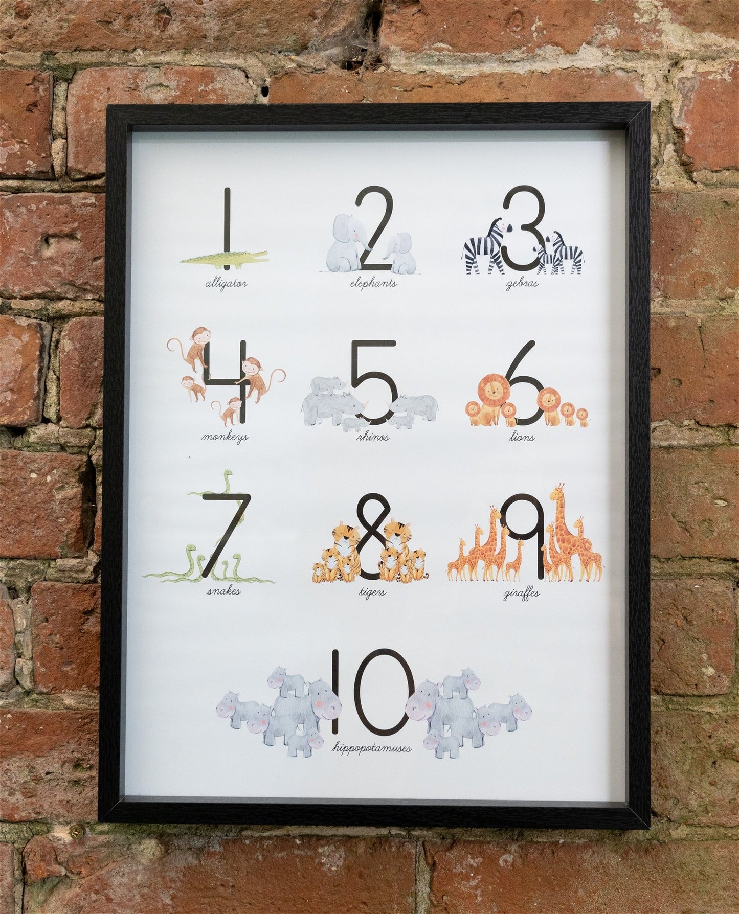 Baby Number 1-10 Animal Print Frame