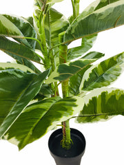Artificial Large 110cm Rubber Ficus