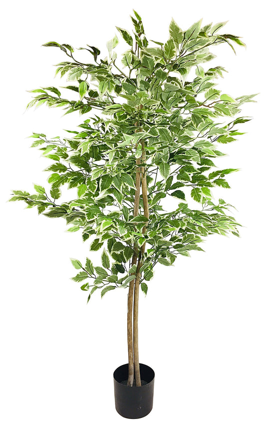 Artificial Ficus Tree With Variegation Leaves 150cm