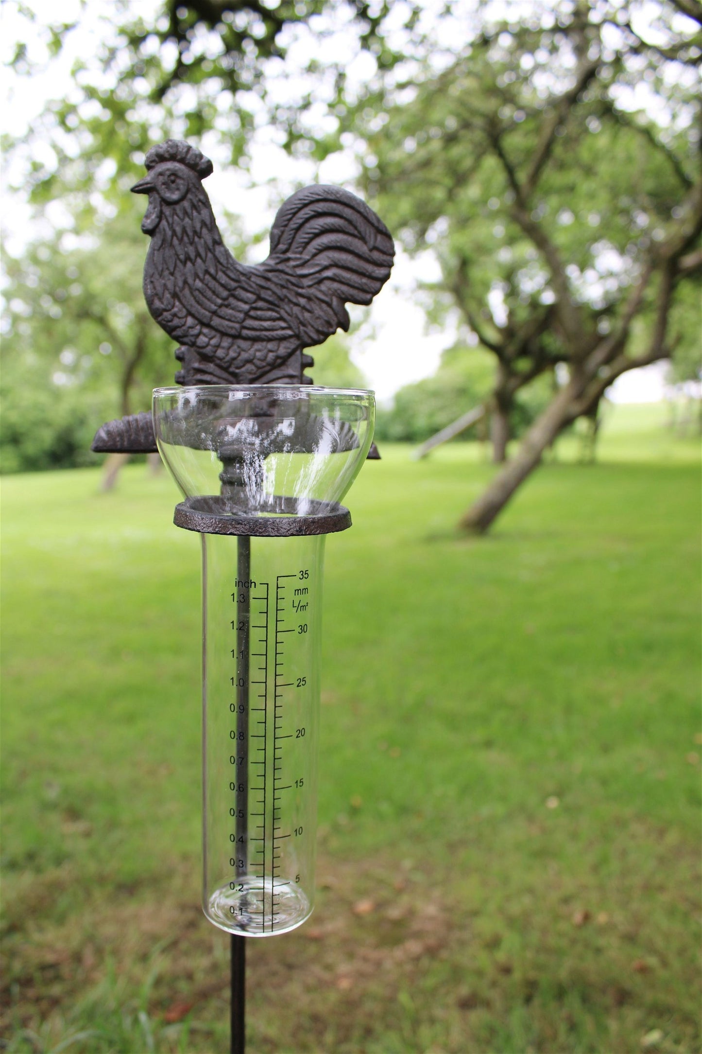 Cast Iron and Glass Garden Rain Gauge, Chicken