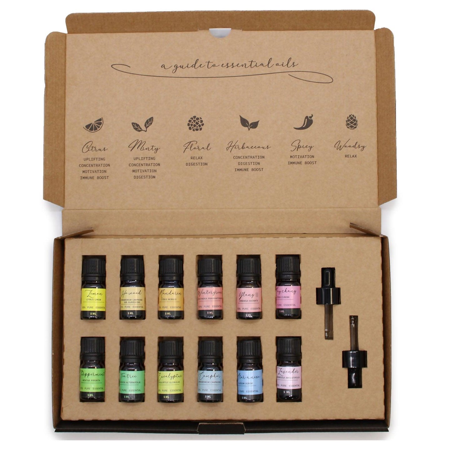 Aromatherapy Essential Oil Set - Starter Pack - DuvetDay.co.uk