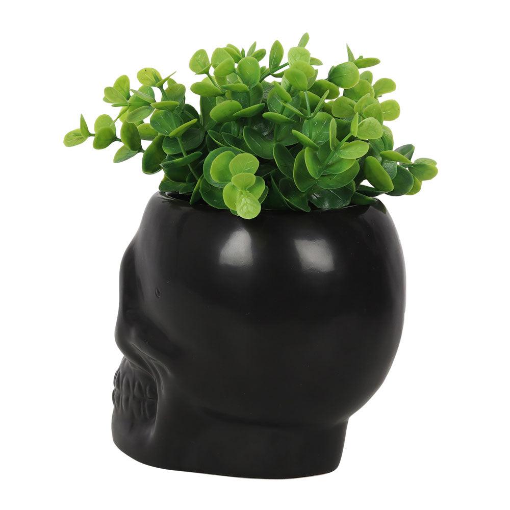 Black Skull Plant Pot - DuvetDay.co.uk