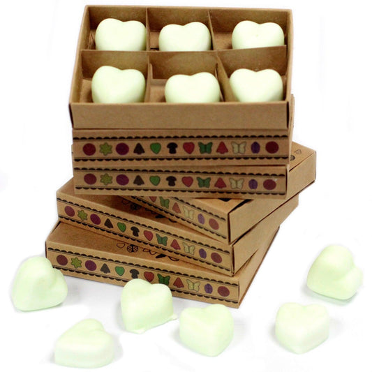 Box of 6 Wax Melts - Apple Spice - DuvetDay.co.uk