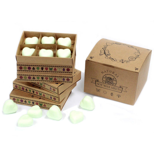 Box of 6 Wax Melts - Brandy Butter - DuvetDay.co.uk