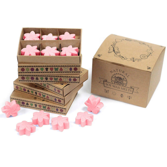 Box of 6 Wax Melts - Classic Rose - DuvetDay.co.uk