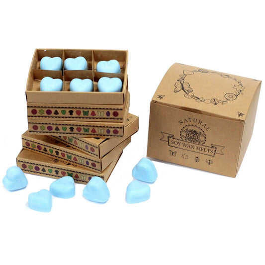 Box of 6 Wax Melts - Dewberry - DuvetDay.co.uk