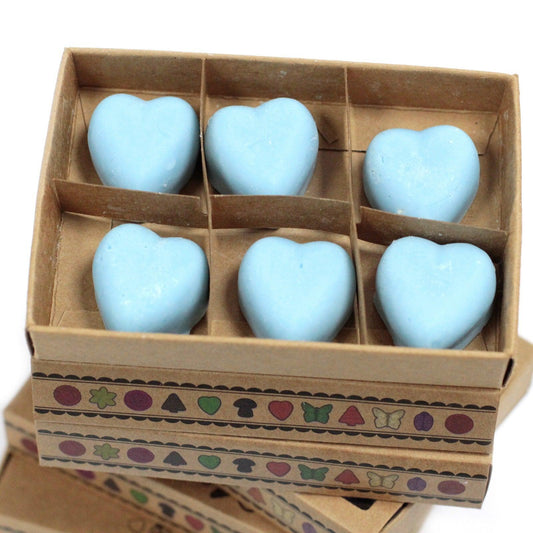 Box of 6 Wax Melts - Dewberry - DuvetDay.co.uk
