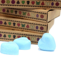 Box of 6 Wax Melts - Dewberry - DuvetDay.co.uk