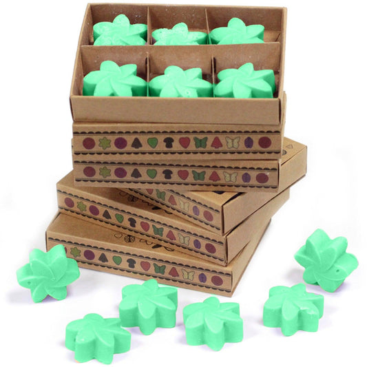 Box of 6 Wax Melts - Hidden Garden - DuvetDay.co.uk