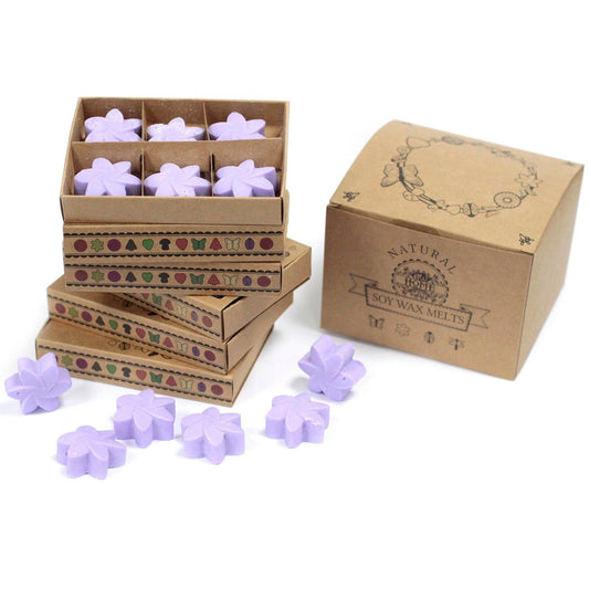 Box of 6 Wax Melts - Lavender Fields - DuvetDay.co.uk