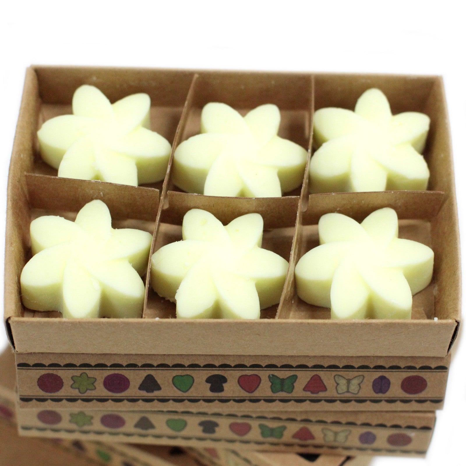 Box of 6 Wax Melts - Lemon Harvest - DuvetDay.co.uk