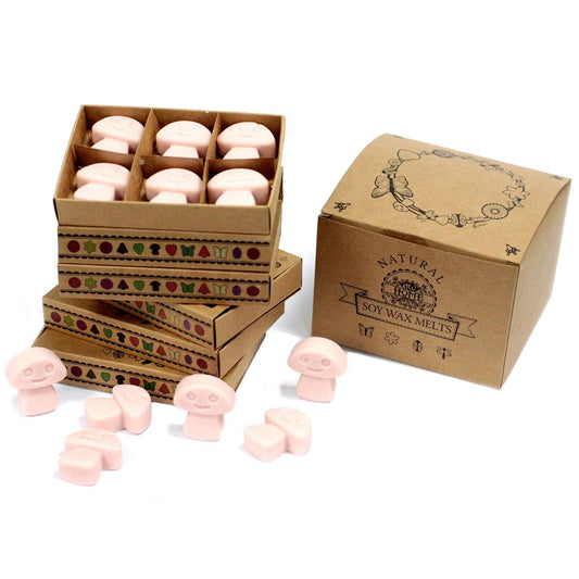 Box of 6 Wax Melts - Old Ginger - DuvetDay.co.uk