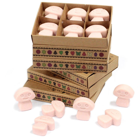 Box of 6 Wax Melts - Old Ginger - DuvetDay.co.uk