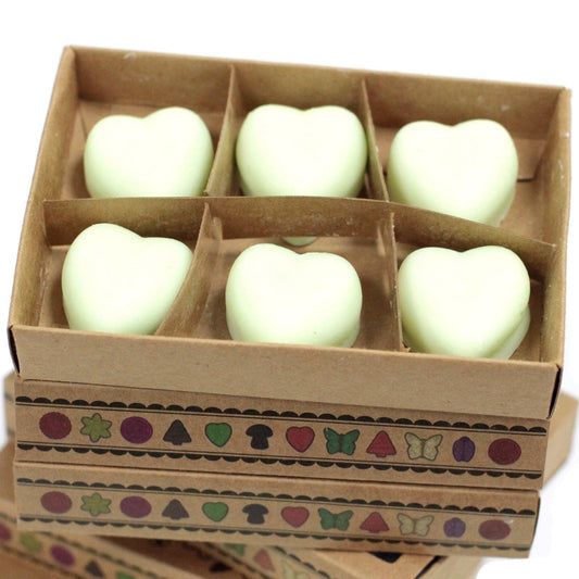 Box of 6 Wax Melts - Watermelon Fresh - DuvetDay.co.uk