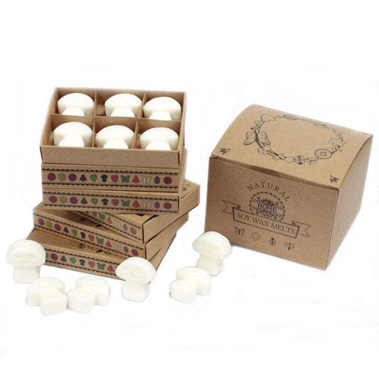 Box of 6 Wax Melts - White Musk - DuvetDay.co.uk