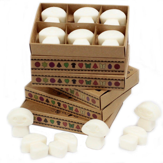 Box of 6 Wax Melts - White Musk - DuvetDay.co.uk