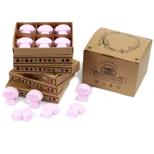 Box of 6 Wax Melts - Ylang Ylang - DuvetDay.co.uk
