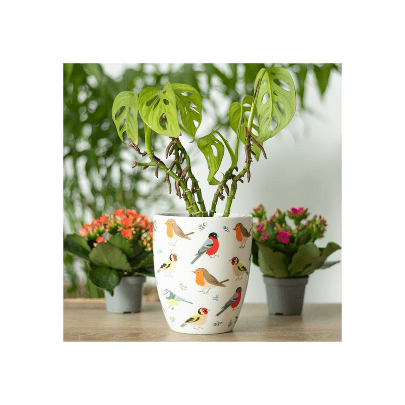 British Garden Birds Ceramic Plant Pot - DuvetDay.co.uk