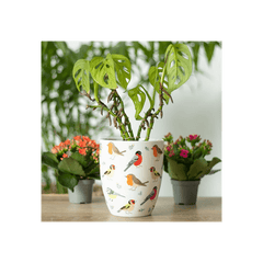 British Garden Birds Ceramic Plant Pot - DuvetDay.co.uk