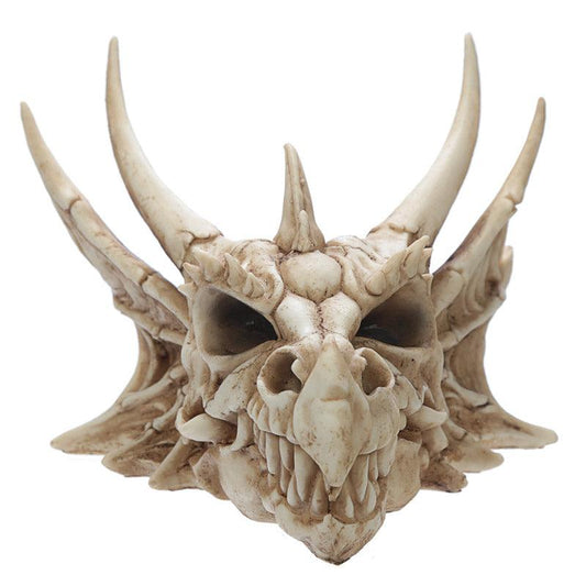 Collectable Dragon Skull - DuvetDay.co.uk