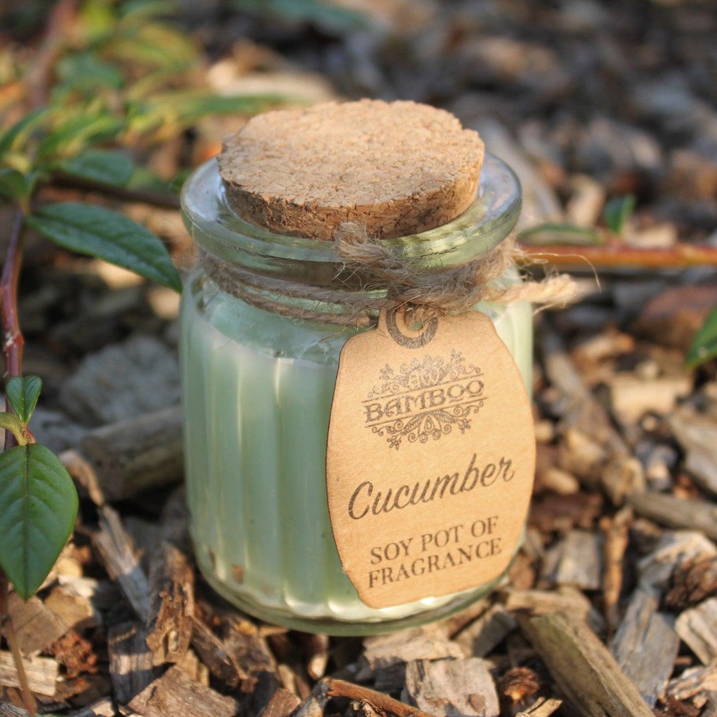 Cucumber Soy Pot of Fragrance Candles - DuvetDay.co.uk