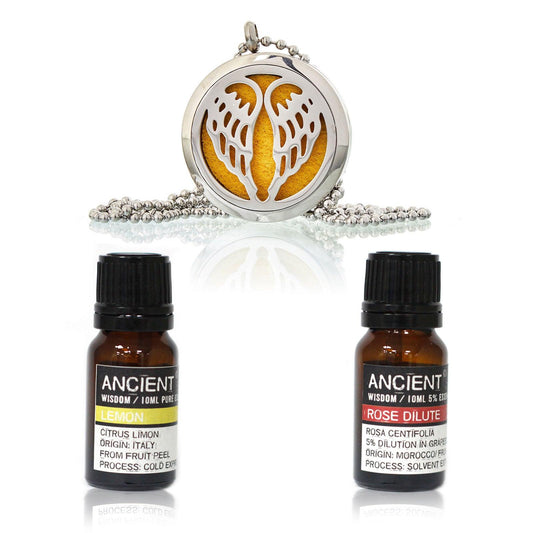 Diffuser Necklace and Essential Oils Set - DuvetDay.co.uk