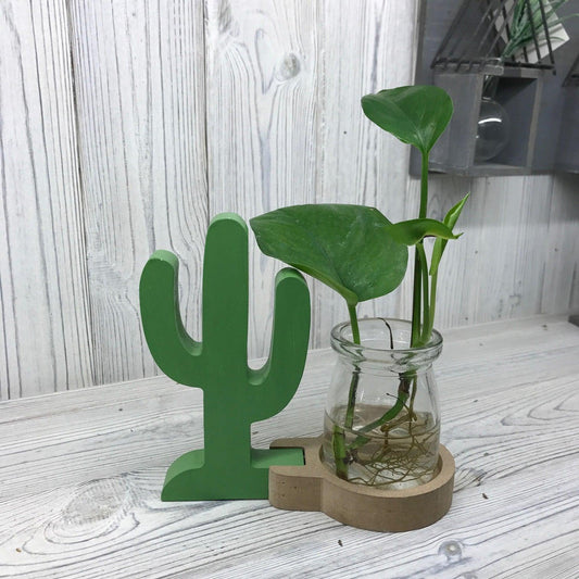 Hydroponic Home Decor - Cactus Pot - DuvetDay.co.uk