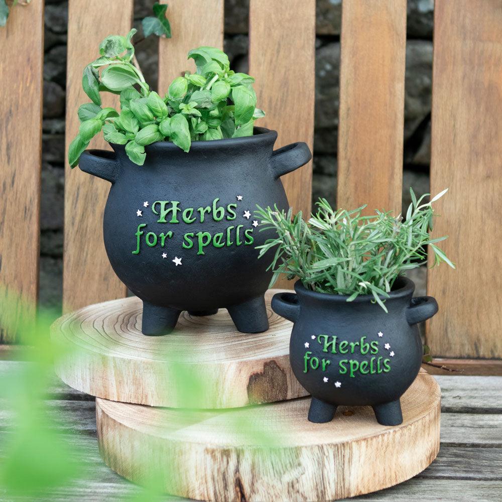 Large Herbs For Spells Cauldron Plant Pot - DuvetDay.co.uk