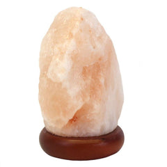 Natural USB Salt Lamp - DuvetDay.co.uk