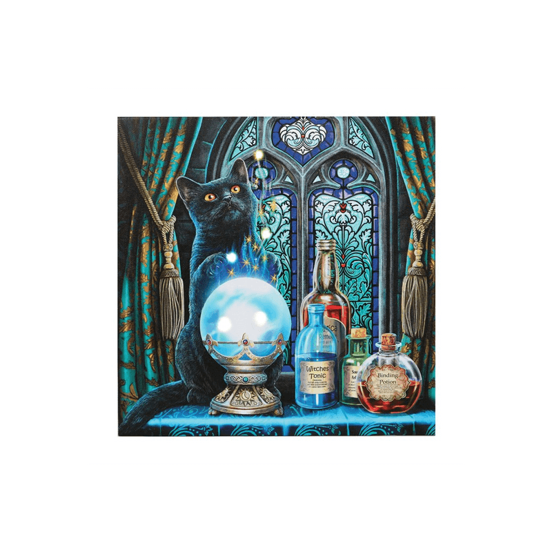 The Witches Apprentice Light Up Canvas Plaque by Lisa Parker - DuvetDay.co.uk