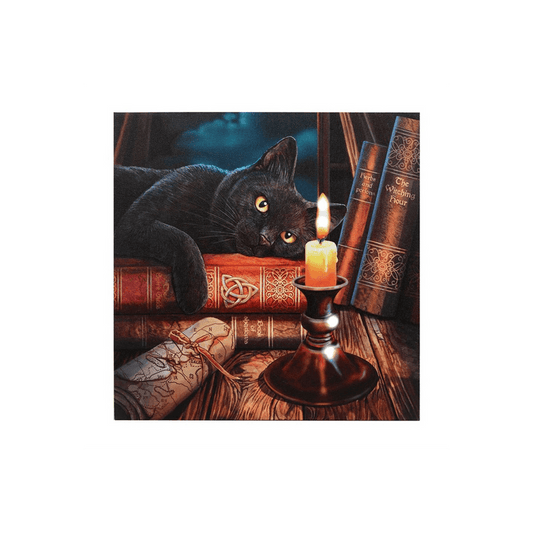 The Witching Hour Light Up Canvas Plaque by Lisa Parker - DuvetDay.co.uk