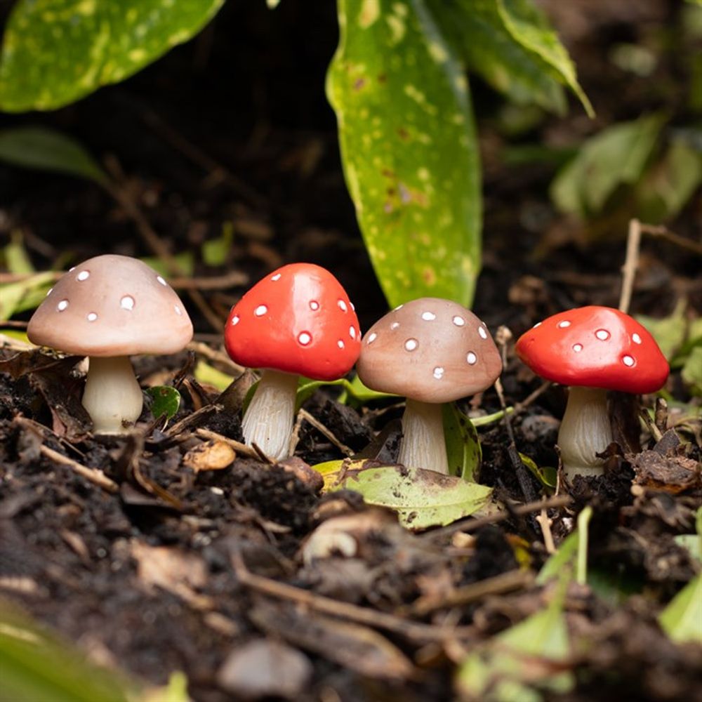 Set of 4 Mini Mushroom Plant Pot Pals - DuvetDay.co.uk