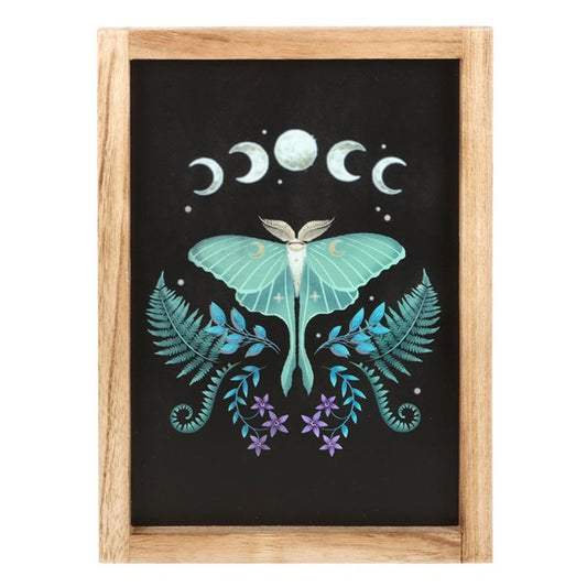 Luna Moth Wooden Framed Wall Art - DuvetDay.co.uk