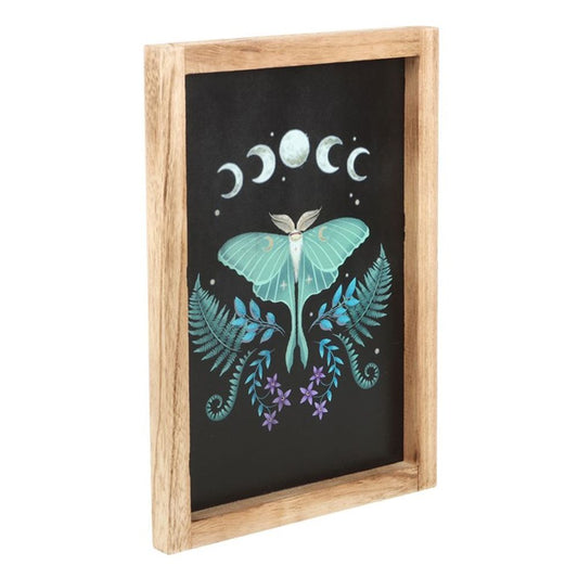 Luna Moth Wooden Framed Wall Art - DuvetDay.co.uk