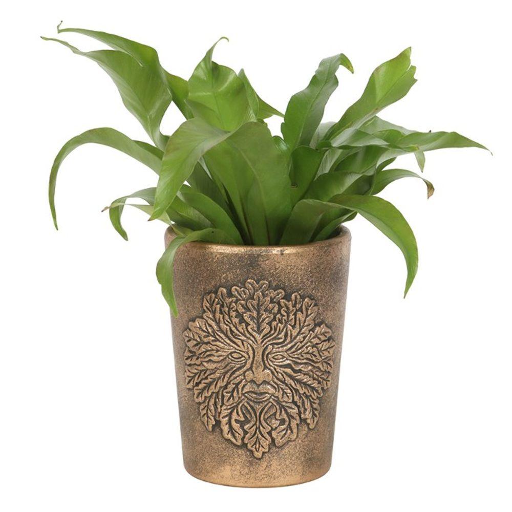 Green Man Bronze Terracotta Plant Pot by Lisa Parker - DuvetDay.co.uk